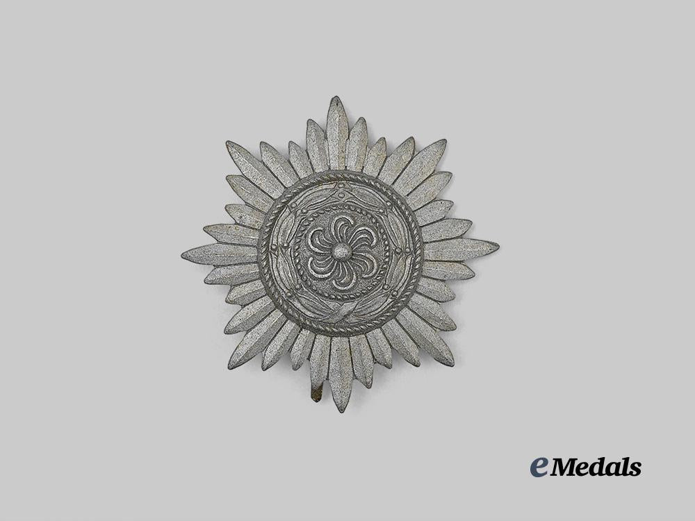 germany,_wehrmacht._an_eastern_peoples_merit_decoration,_i_class_in_gold_e_medals__g63132_2