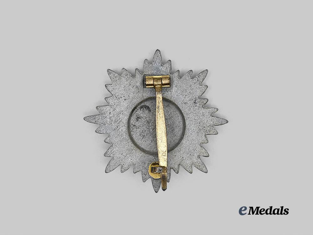 germany,_wehrmacht._an_eastern_peoples_merit_decoration,_i_class_in_gold_e_medals__g63132_3