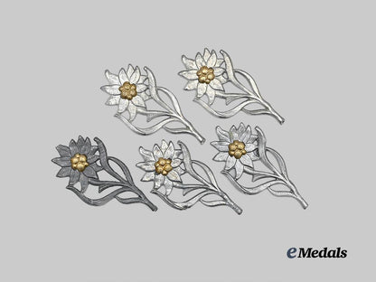 germany,_s_a._a_lot_of_edelweiss_cap_insignia_for_s_a-_gruppe_hochland_e_medals__g63148_2