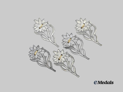 germany,_s_a._a_lot_of_edelweiss_cap_insignia_for_s_a-_gruppe_hochland_e_medals__g63148_3