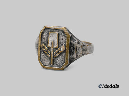 germany,_r_a_d._a_commemorative_service_ring_e_medals__g63196_4