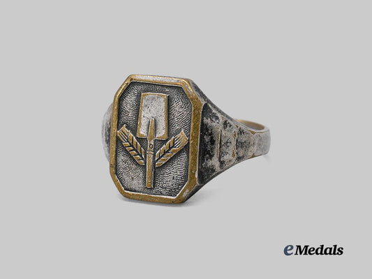 germany,_r_a_d._a_commemorative_service_ring_e_medals__g63196_4
