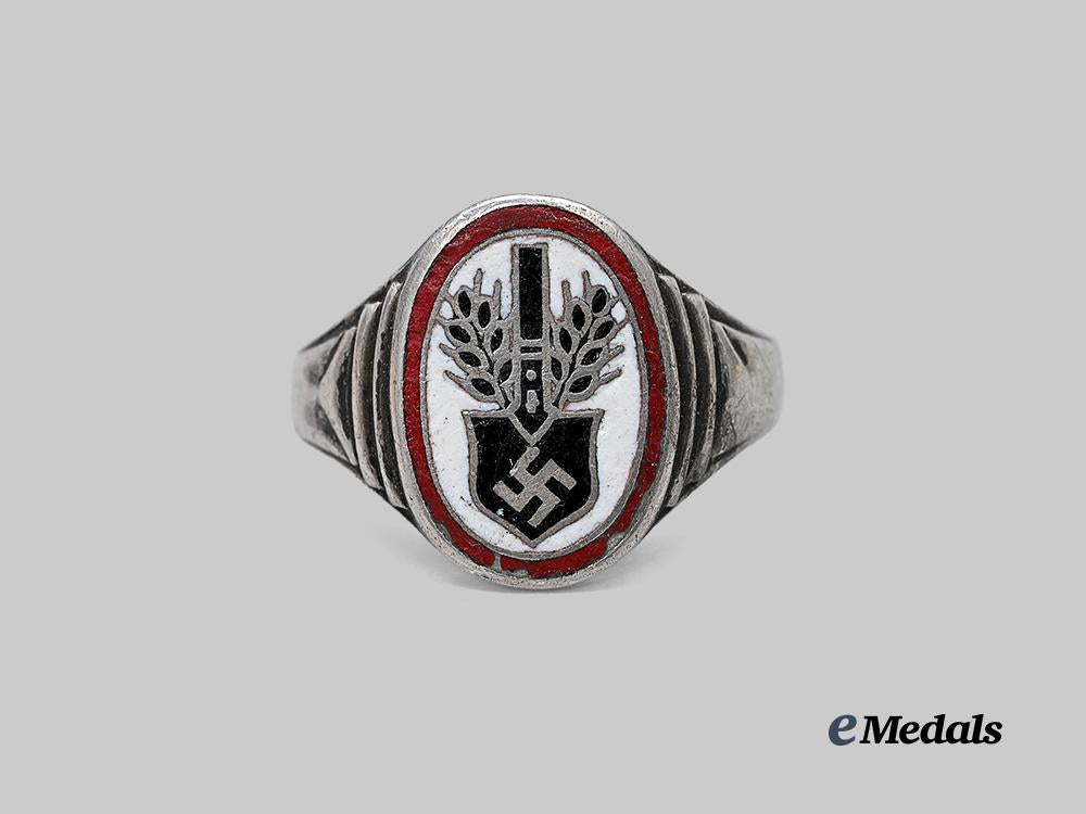 germany,_r_a_d._a_commemorative_service_ring_in_silver_e_medals__g63197_2