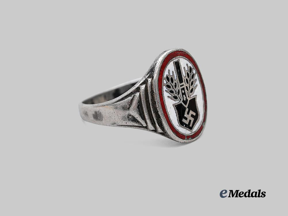germany,_r_a_d._a_commemorative_service_ring_in_silver_e_medals__g63197_3