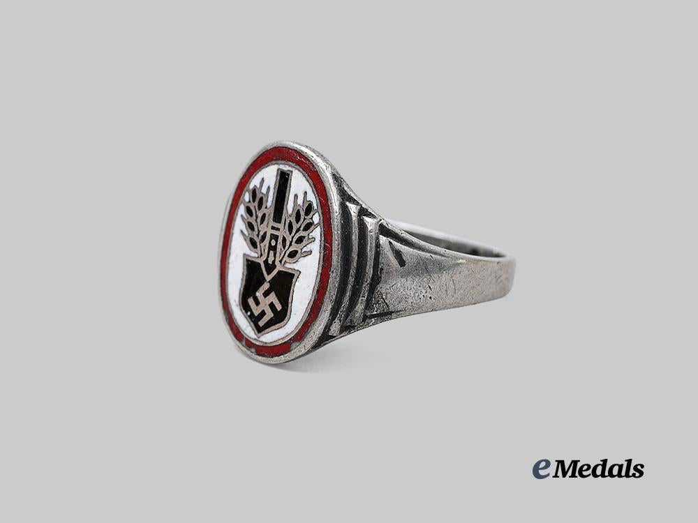 germany,_r_a_d._a_commemorative_service_ring_in_silver_e_medals__g63197_4