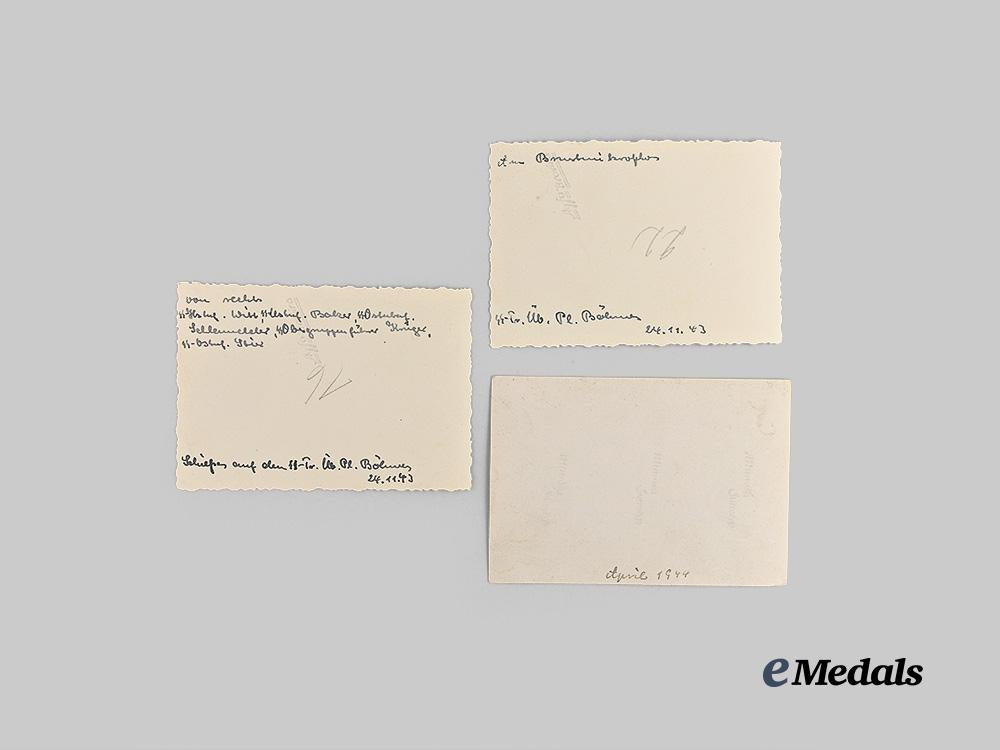 germany,_s_s._a_lot_of_wartime_photos_from_s_s-_truppenübungsplatz_böhmen,_with_notable_officers_e_medals__g63234_6