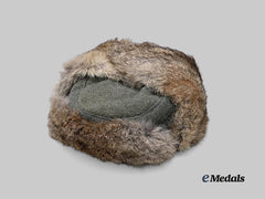 Germany, Heer. A Winter Service Cap