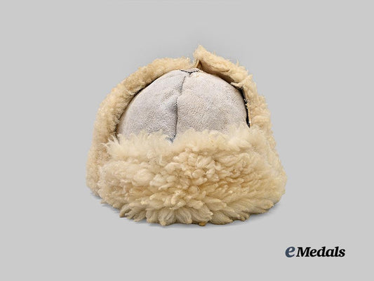 germany,_heer._a_winter_field_cap_for_enlisted_ranks_e_medals__g63411_2