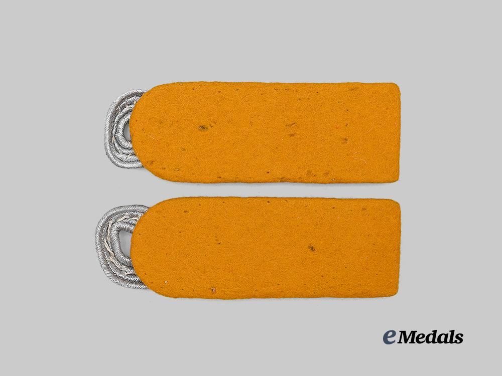germany,_luftwaffe._a_set_of_flight_personnel/_fallschirmjäger_oberst_shoulder_boards_e_medals__g63541_3