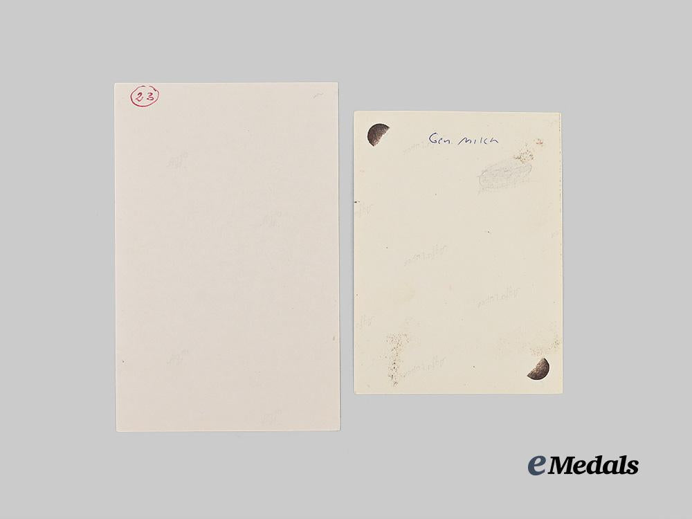 germany,_luftwaffe._a_rare_military_identification_card_to_generalfeldmarschall_erhard_milch_e_medals__g63701_4