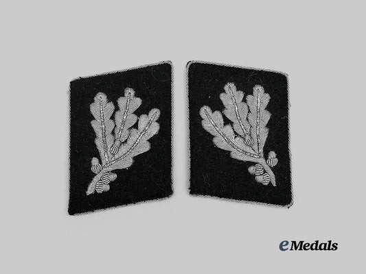 germany,_n_s_k_k._a_set_of_gruppenführer_collar_tabs_e_medals__g63702_2