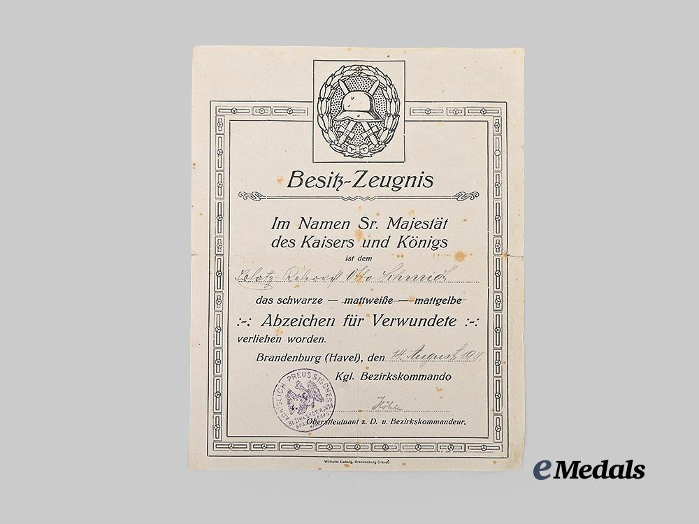 germany,_imperial._a_lot_of_awards_and_documents_for_first_world_war_service_e_medals__g63747_3