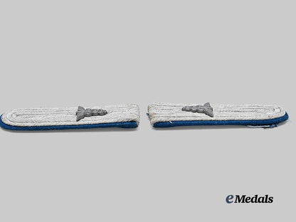 germany,_heer._a_set_of_medical_leutnant_shoulder_boards_e_medals__g63886_4