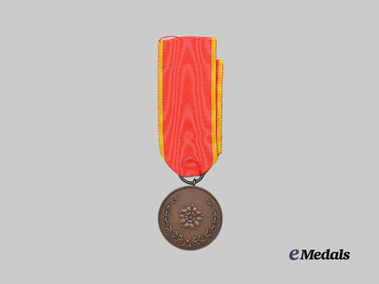 lippe-_detmold,_principality._a_war_merit_medal_e_medals__g64248_4