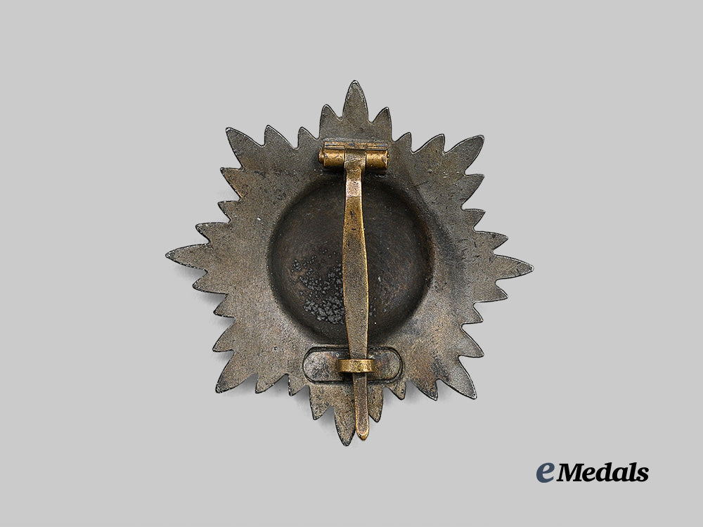 germany,_wehrmacht._an_eastern_peoples_bravery_decoration,_i_class_in_gold_e_medals__g64429_4