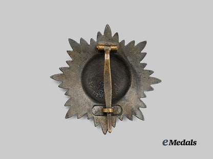 germany,_wehrmacht._an_eastern_peoples_bravery_decoration,_i_class_in_gold_e_medals__g64429_4