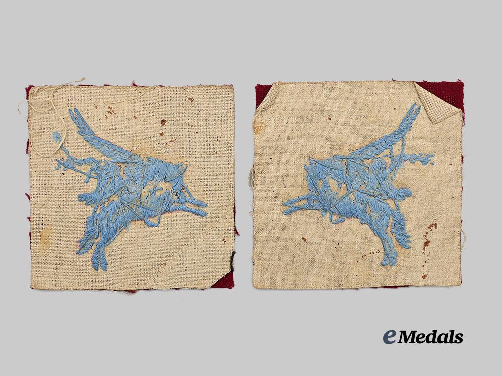 united_kingdom._a_pair_of_second_war_airborne‘_pegasus’_patches_e_medals__g_b8349_3