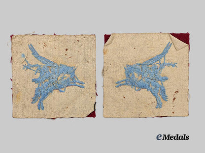 united_kingdom._a_pair_of_second_war_airborne‘_pegasus’_patches_e_medals__g_b8349_3