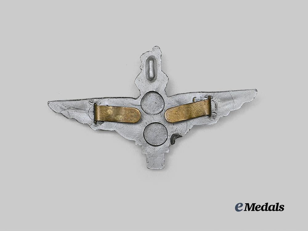 united_kingdom._a_bakelite_parachute_regiment_beret_badge_e_medals__g_b8595_3