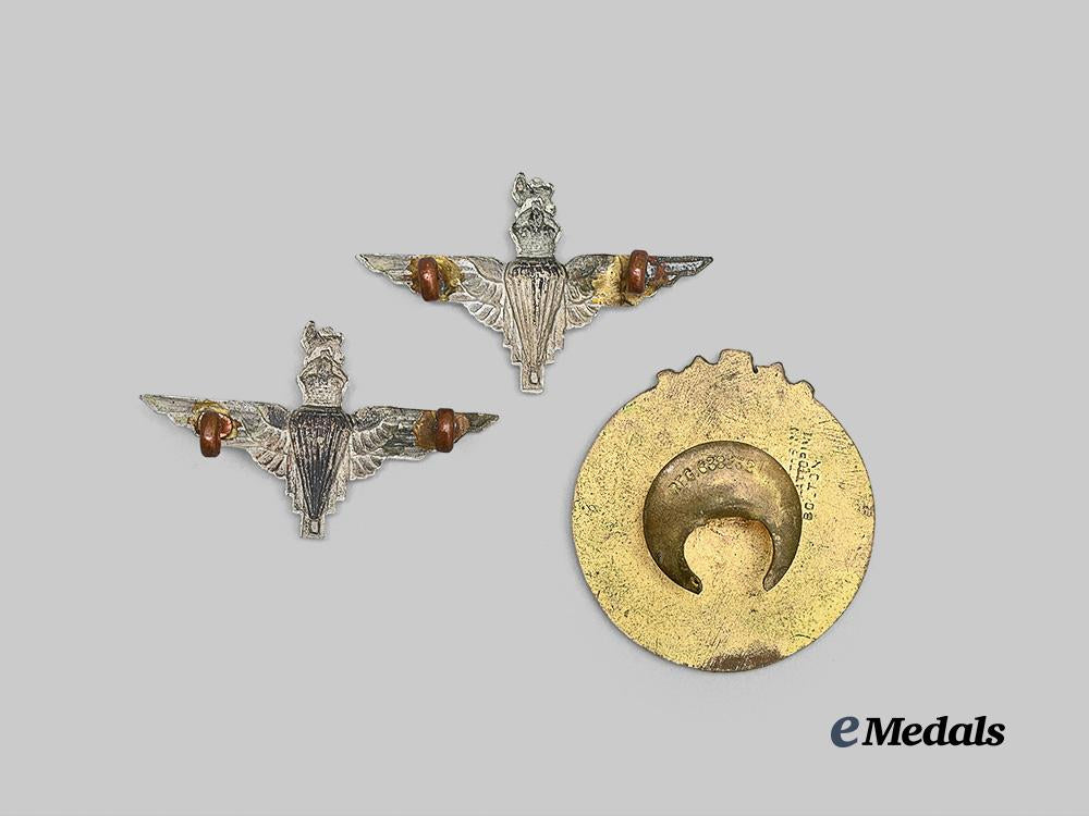 united_kingdom._a_pair_of_parachute_regiment_collar_badges_e_medals__g_b8607_3