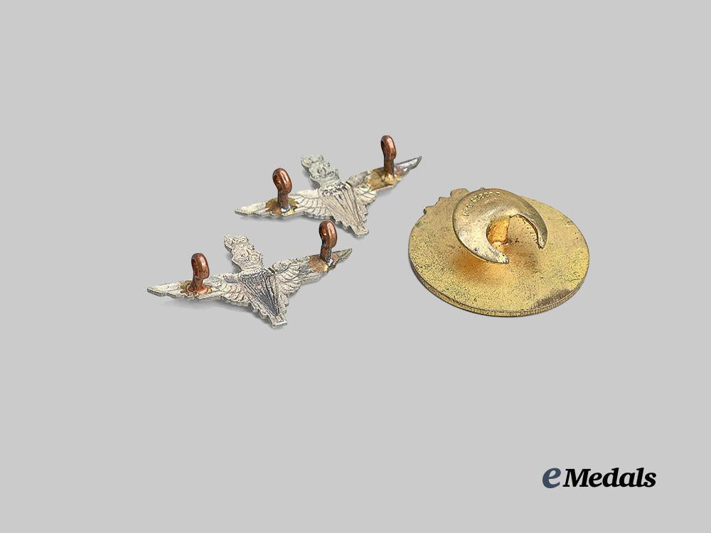 united_kingdom._a_pair_of_parachute_regiment_collar_badges_e_medals__g_b8607_4
