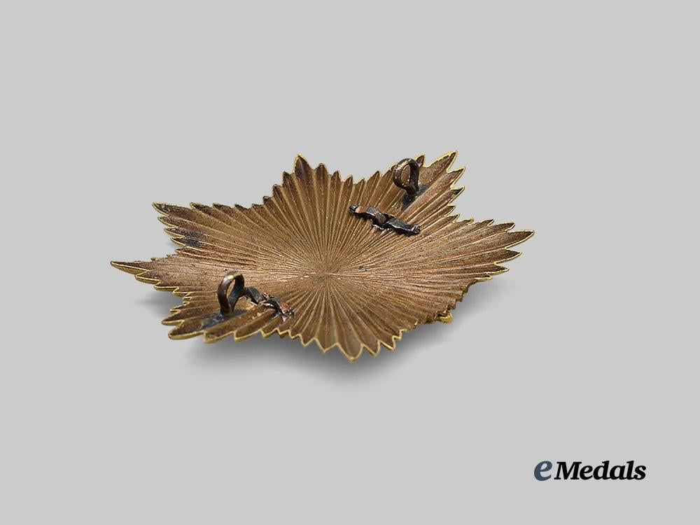 united_kingdom._a_bedfordshire_regiment_helmet_plate_e_medals__g_b8685_4