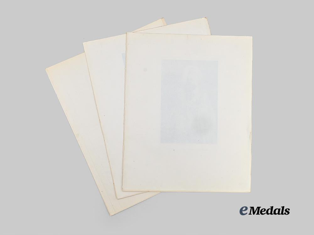 united_kingdom._a_lot_of_three_portraits_of_rulers_of_the_british_raj_e_medals__m0231-127_2