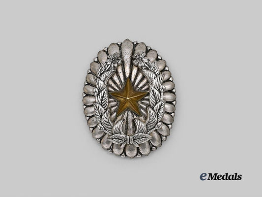 japan,_empire._a_company_grade_officer’s_badge_e_medals__m0332-42_2