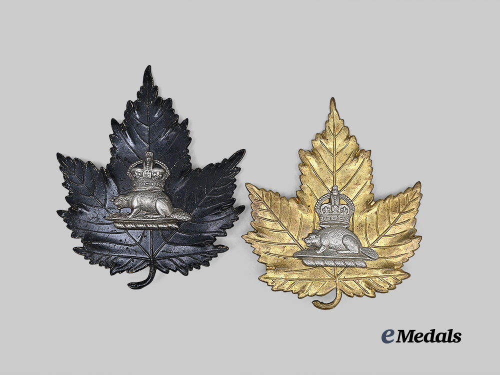 canada._a_lot_of_two_canadian_police(_bobby_helmet)_beaver_badges_e_medals__m0432-211_2