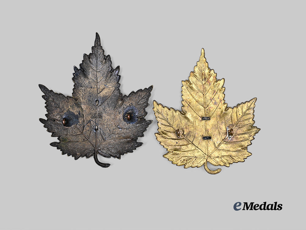 canada._a_lot_of_two_canadian_police(_bobby_helmet)_beaver_badges_e_medals__m0432-211_3