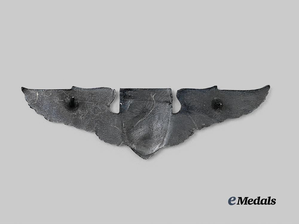 cuba._a_brigade2506_wing_badge_e_medals__m0440-44_3