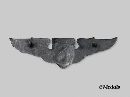 cuba._a_brigade2506_wing_badge_e_medals__m0440-44_3