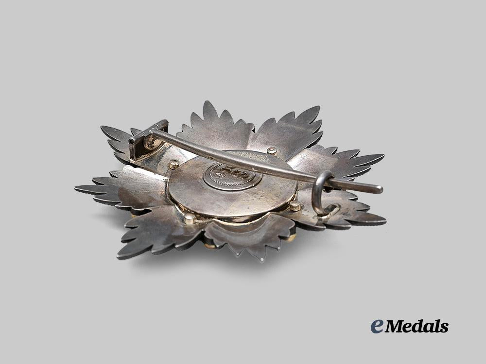 braunschweig,_duchy._an_order_of_henry_the_lion,_grand_cross_breast_star,_by_carl_siebrecht_c.1908_e_medals__m0661-80_5