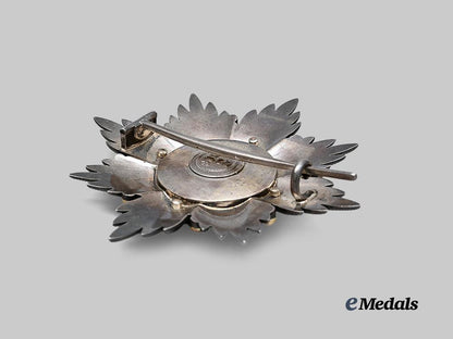 braunschweig,_duchy._an_order_of_henry_the_lion,_grand_cross_breast_star,_by_carl_siebrecht_c.1908_e_medals__m0661-80_5