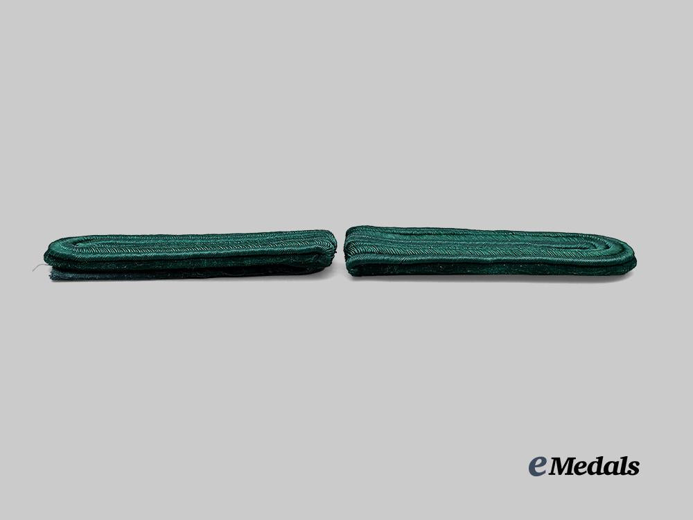 germany,_luftwaffe._a_set_of_forestry_service_rank_insignia_e_medals__m0676-317_4