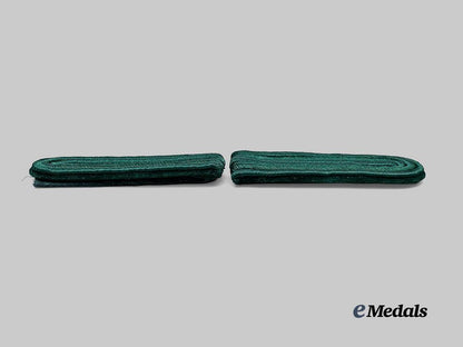 germany,_luftwaffe._a_set_of_forestry_service_rank_insignia_e_medals__m0676-317_4