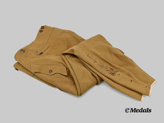 Germany, NSDAP. A Pair of Breeches for Political Leaders