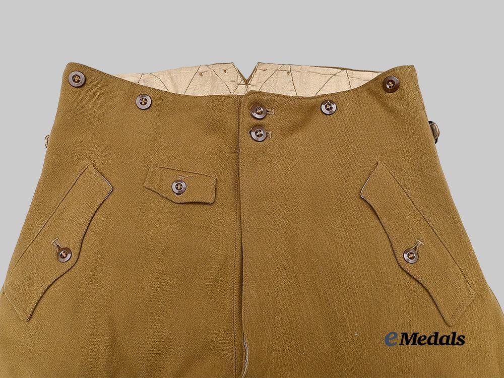 germany,_n_s_d_a_p._a_pair_of_breeches_for_political_leaders_e_medals__m0676-56_4