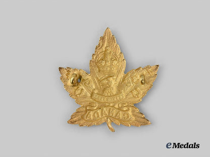 canada,_c_e_f._a103rd_infantry_battalion,_officer’s_cap_badge_e_medals__m0694-174_3