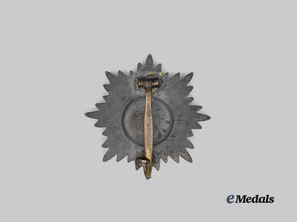 germany,_wehrmacht._an_eastern_peoples_bravery_decoration,_i_class_in_gold_e_medals__m0713-5_3