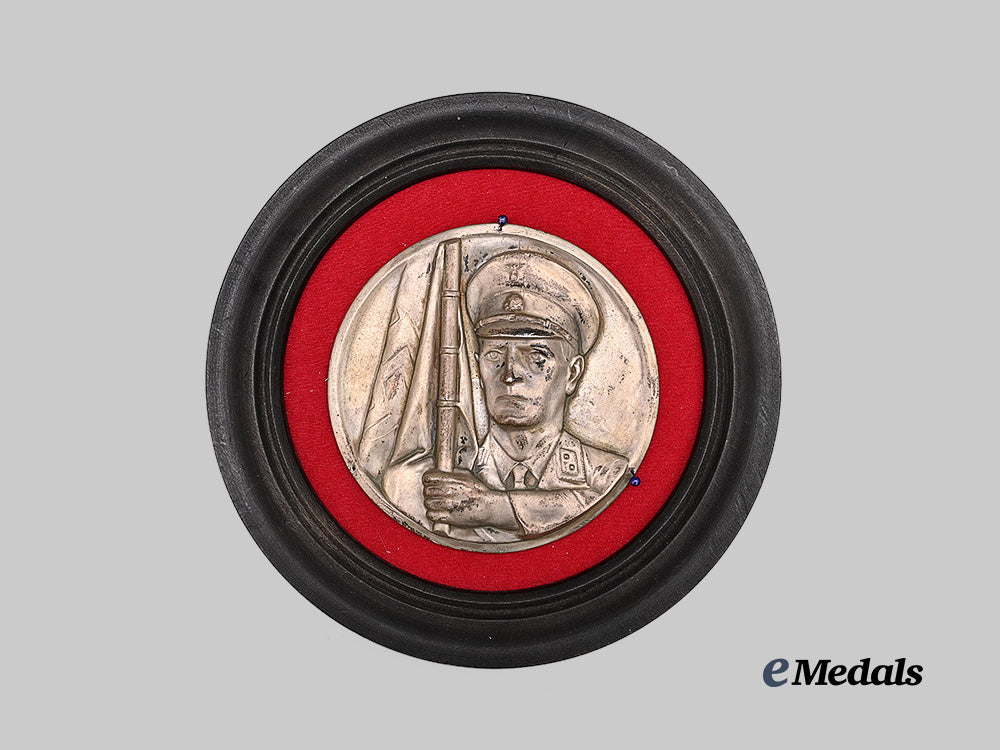 germany,_s_s._a_standard_bearer_wall_plaque_e_medals__m0714-14_2