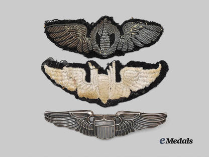 united_states._three_united_states_army_air_force_wings_e_medals__w6739_2