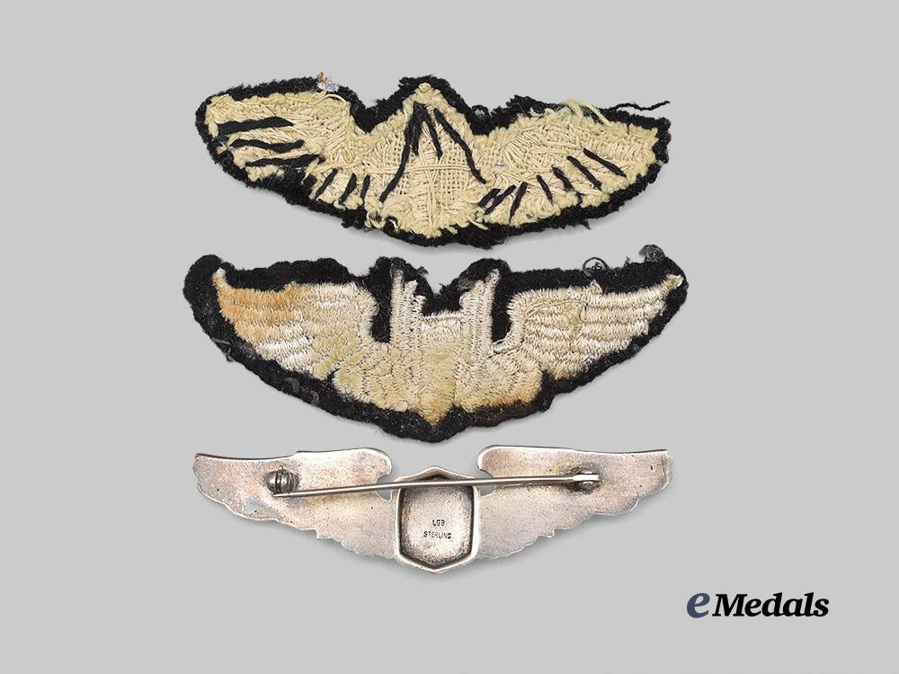 united_states._three_united_states_army_air_force_wings_e_medals__w6739_3
