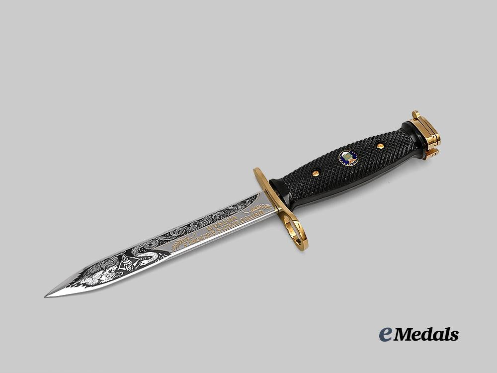united_states._a_u._s_army_vietnam_commemorative_bayonet_of_honour,_in_case_e_medals__w8470_7