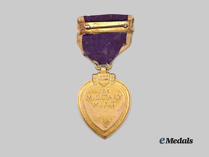 united_states._a_numbered_purple_heart_e_medals__w8503_4