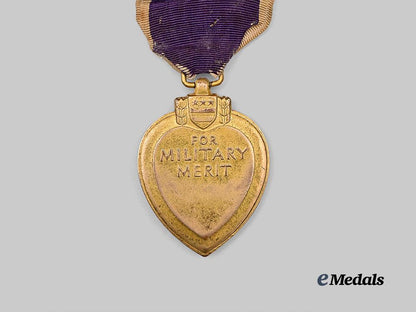 united_states._a_numbered_purple_heart_e_medals__w8503_5