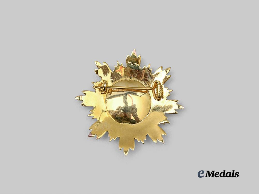 cambodia,_kingdom._a_medal_of_national_merit,_collar_chain_with_star,_modern_issue_e_medals__w8732_13