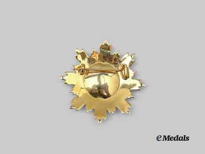 cambodia,_kingdom._a_medal_of_national_merit,_collar_chain_with_star,_modern_issue_e_medals__w8732_13