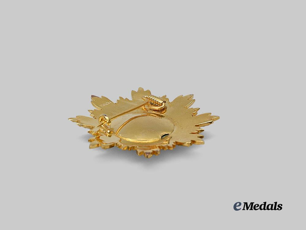 cambodia,_kingdom._a_medal_of_national_merit,_collar_chain_with_star,_modern_issue_e_medals__w8732_14