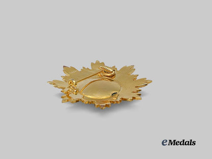 cambodia,_kingdom._a_medal_of_national_merit,_collar_chain_with_star,_modern_issue_e_medals__w8732_14